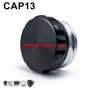 CAP13